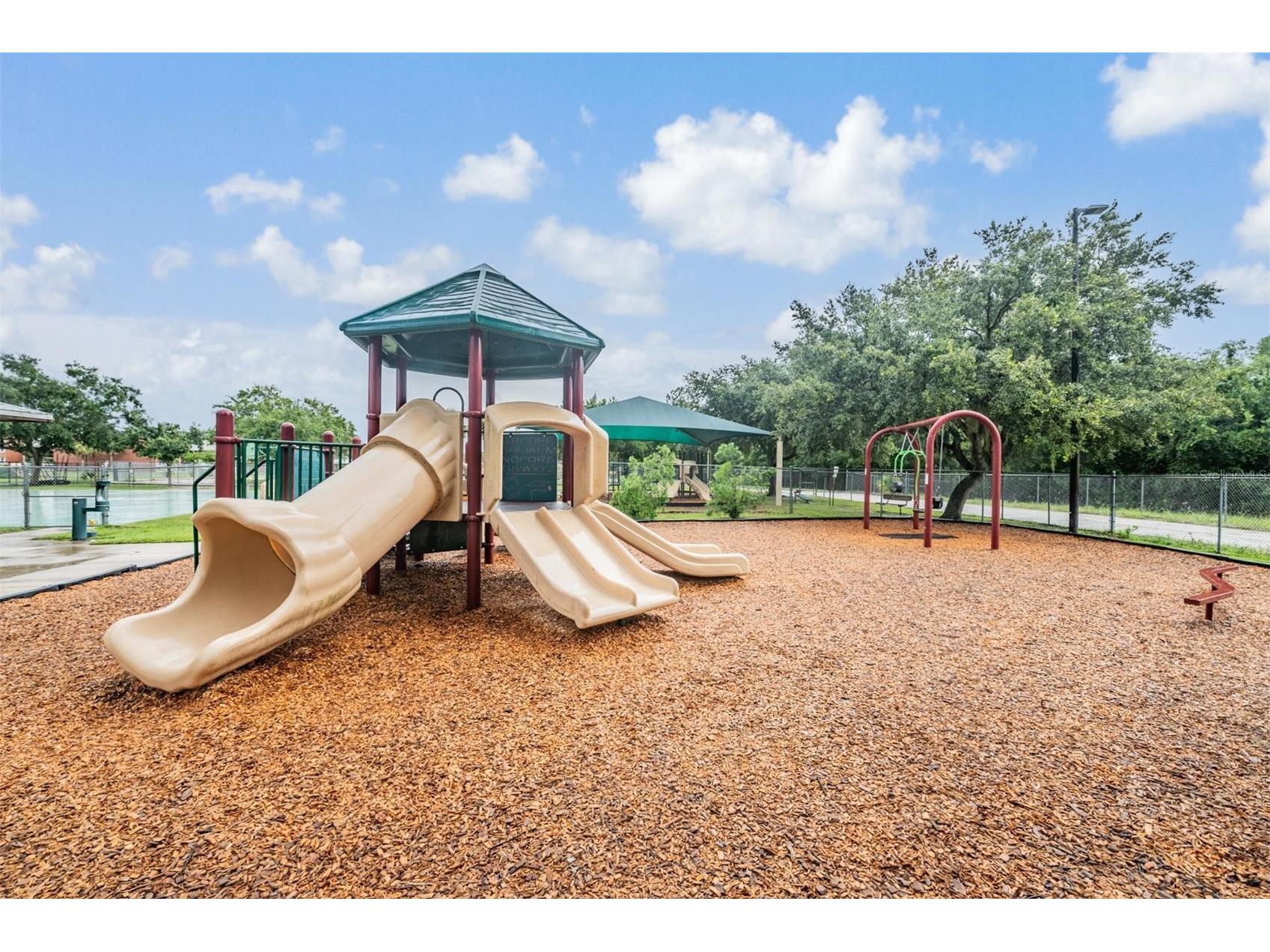 4208 Pine Isle Drive Lutz FL 33558 TB8453619 image39