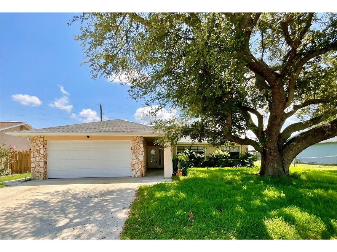 4208 Raccoon Loop New Port Richey FL 34653 U8208775 image1