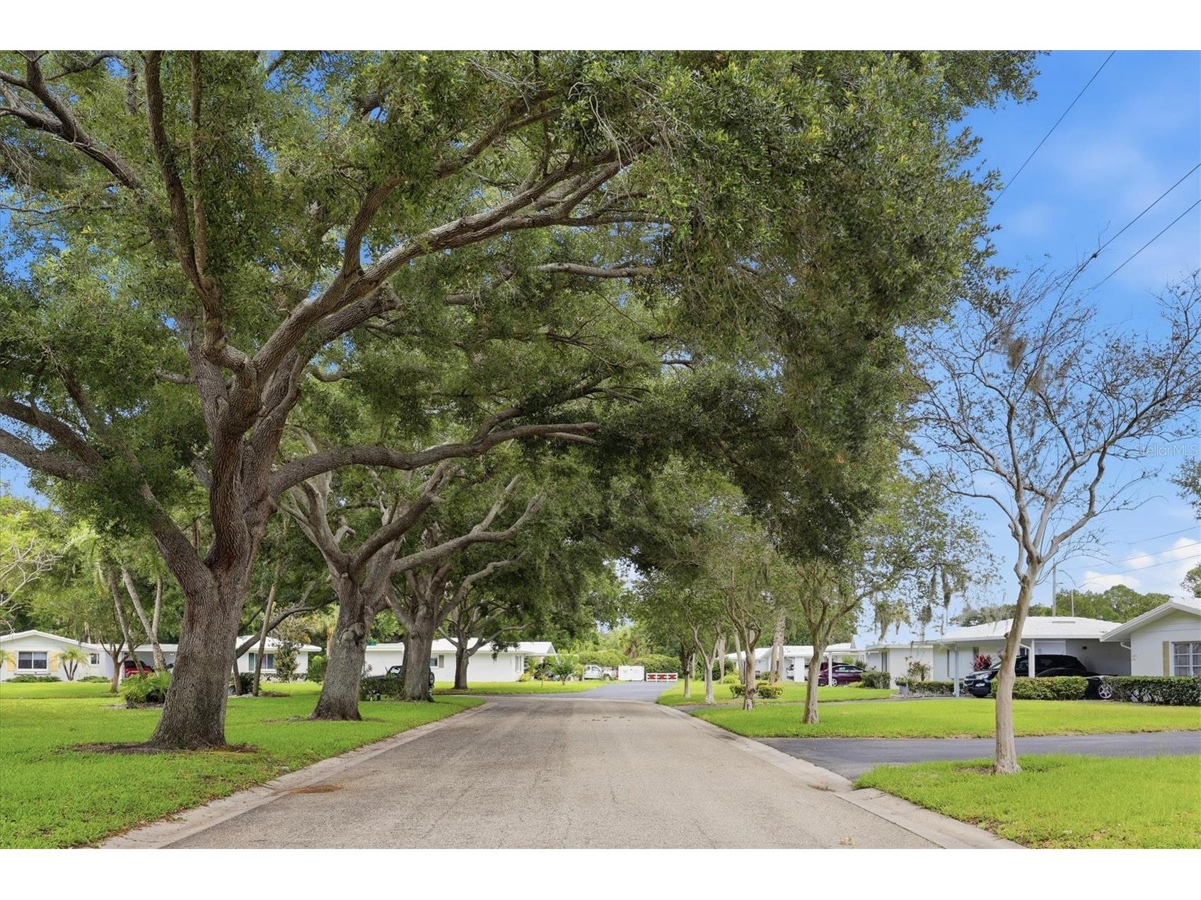 4208 Roxane Boulevard #95 Sarasota FL 34235 A4693162 image3