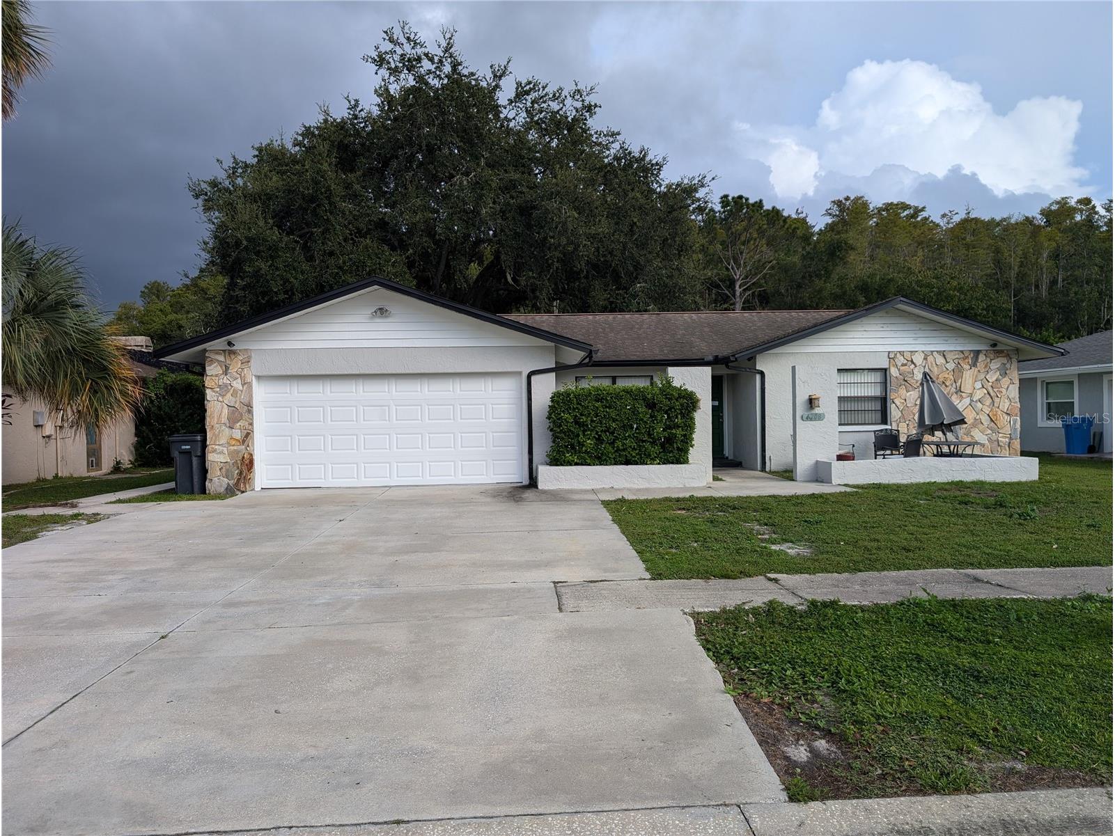 4208 Summerdale Drive Tampa FL 33624 TB8435072 image1