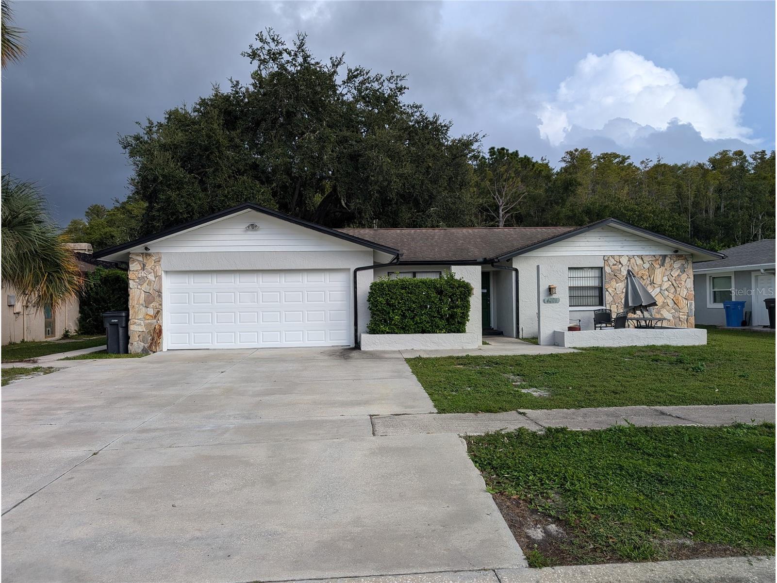 4208 Summerdale Drive Tampa FL 33624 TB8435072 image9
