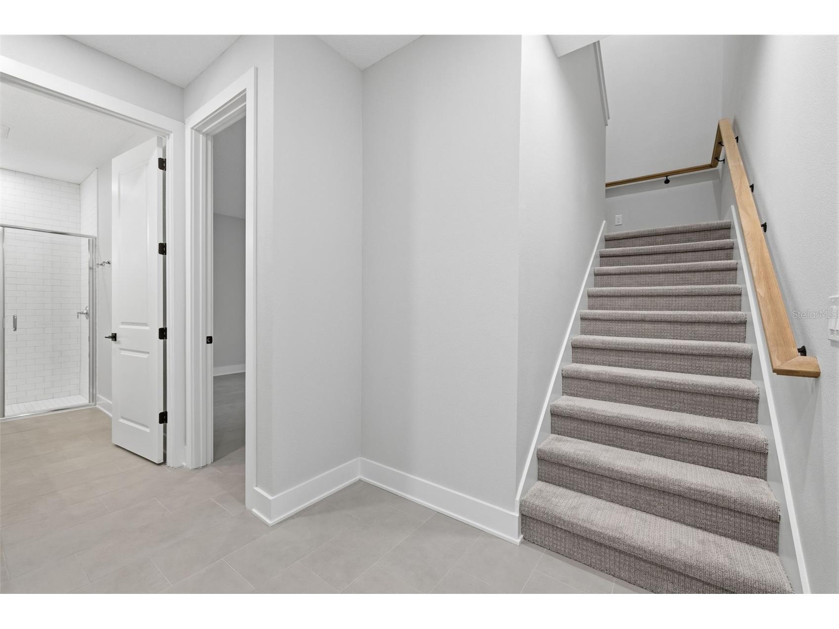 4208 W Carmen Street #C Tampa FL 33609 TB8519494 image2