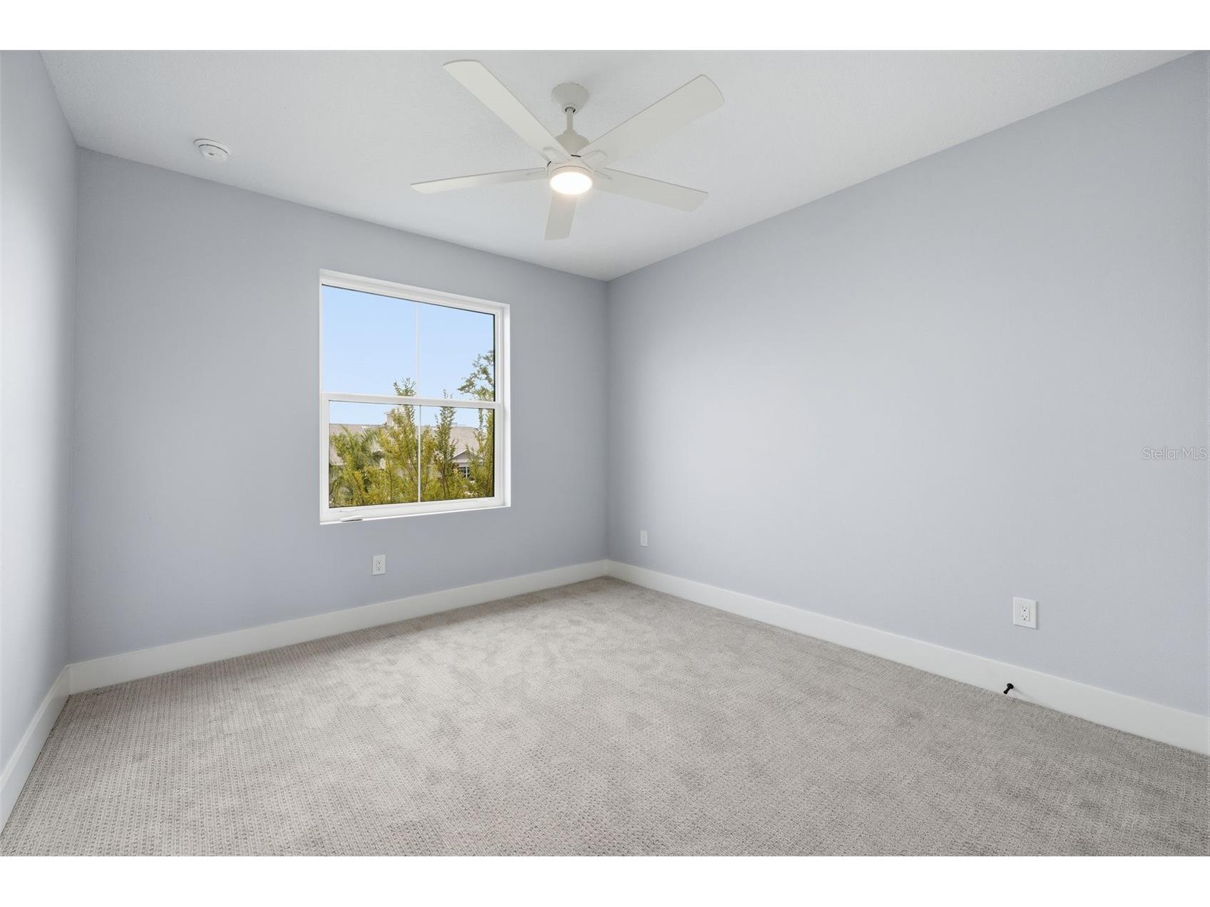 4208 W Carmen Street #C Tampa FL 33609 TB8519494 image23