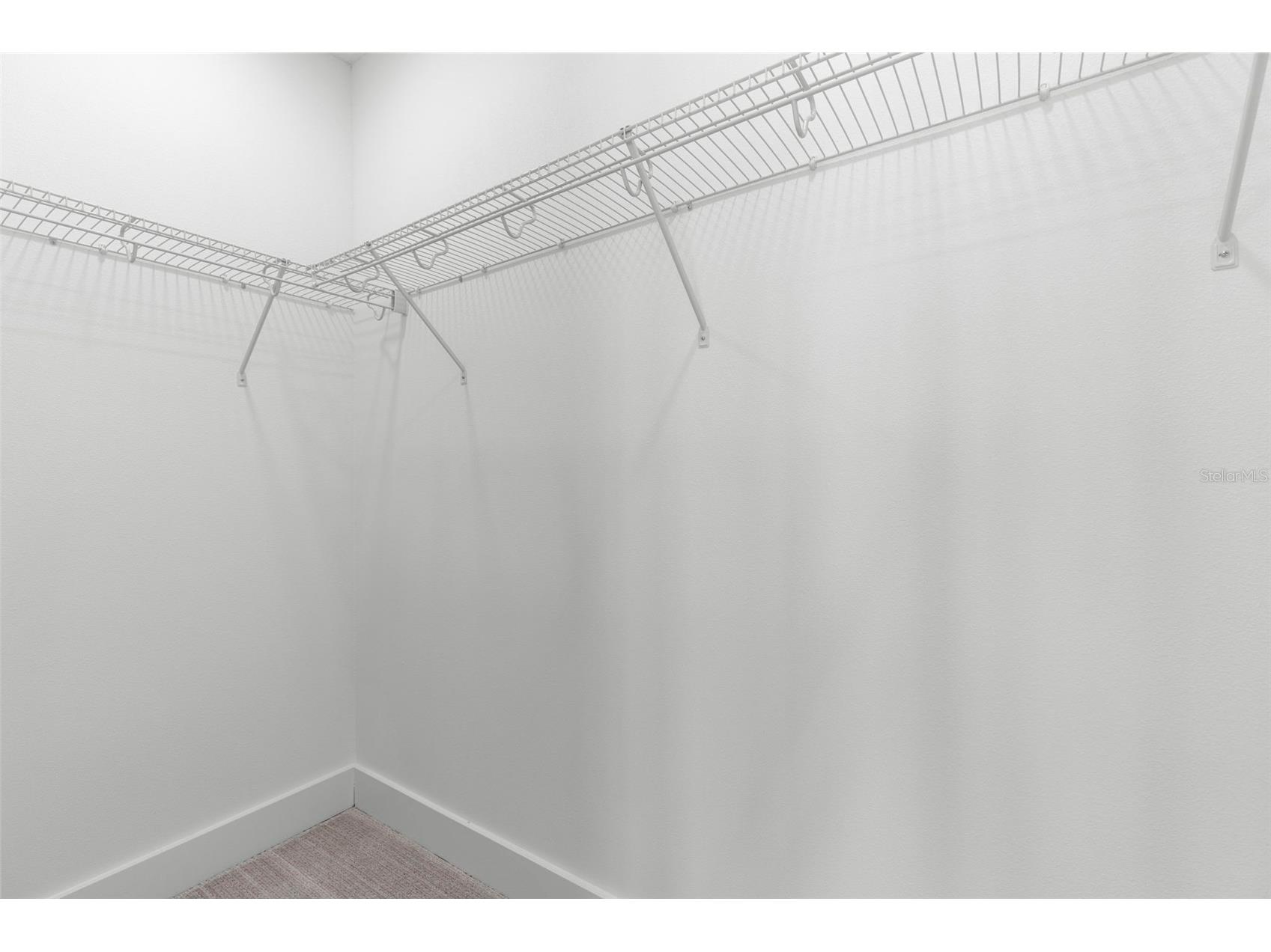 4208 W Carmen Street #D Tampa FL 33609 TB8465486 image23