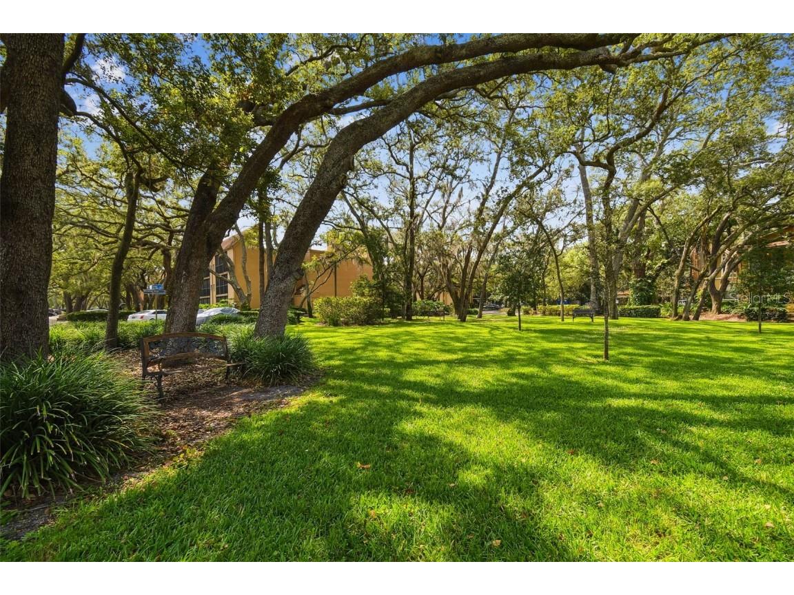 4208 Winding Moss Trail #102 Tampa FL 33613 TB8340962 image26