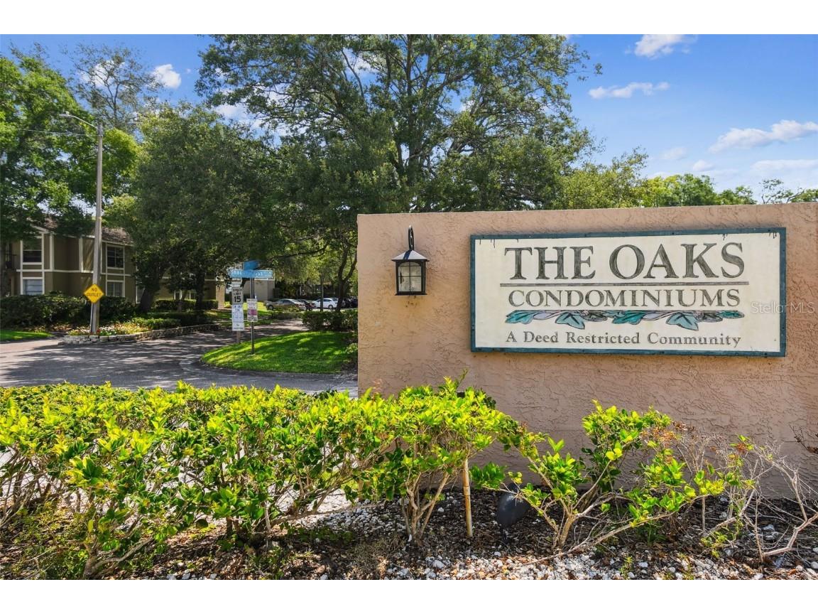 4208 Winding Moss Trail #102 Tampa FL 33613 TB8340962 image27