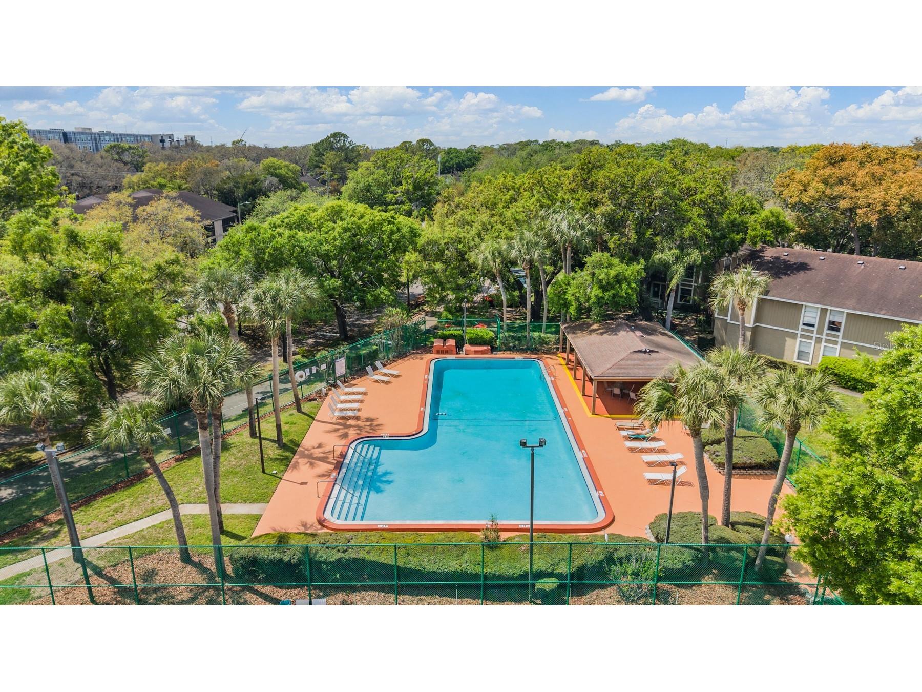 4208 Winding Moss Trail #102 Tampa FL 33613 TB8489466 image21