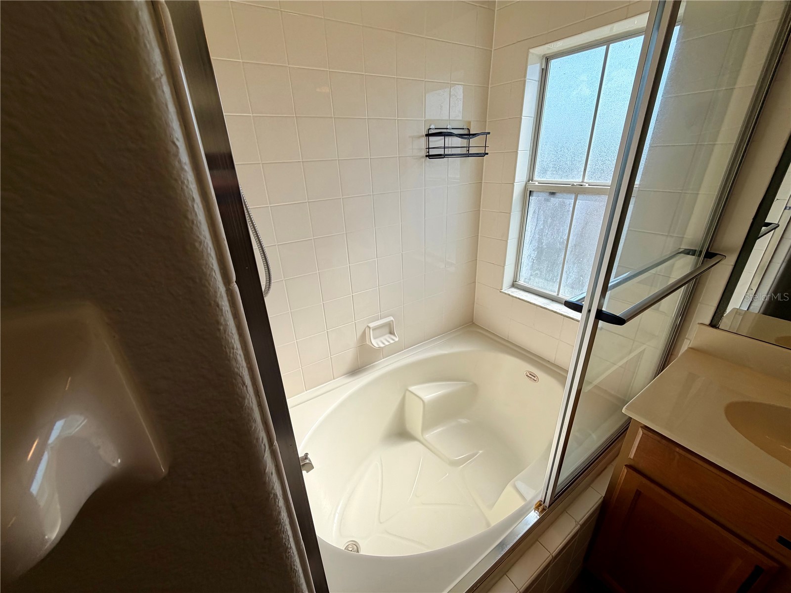 4209 Austen Falls Lane Orlando FL 32828 S5150704 image18