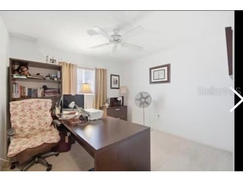4209 Avanti Circle New Port Richey FL 34655 TB8489975 image12
