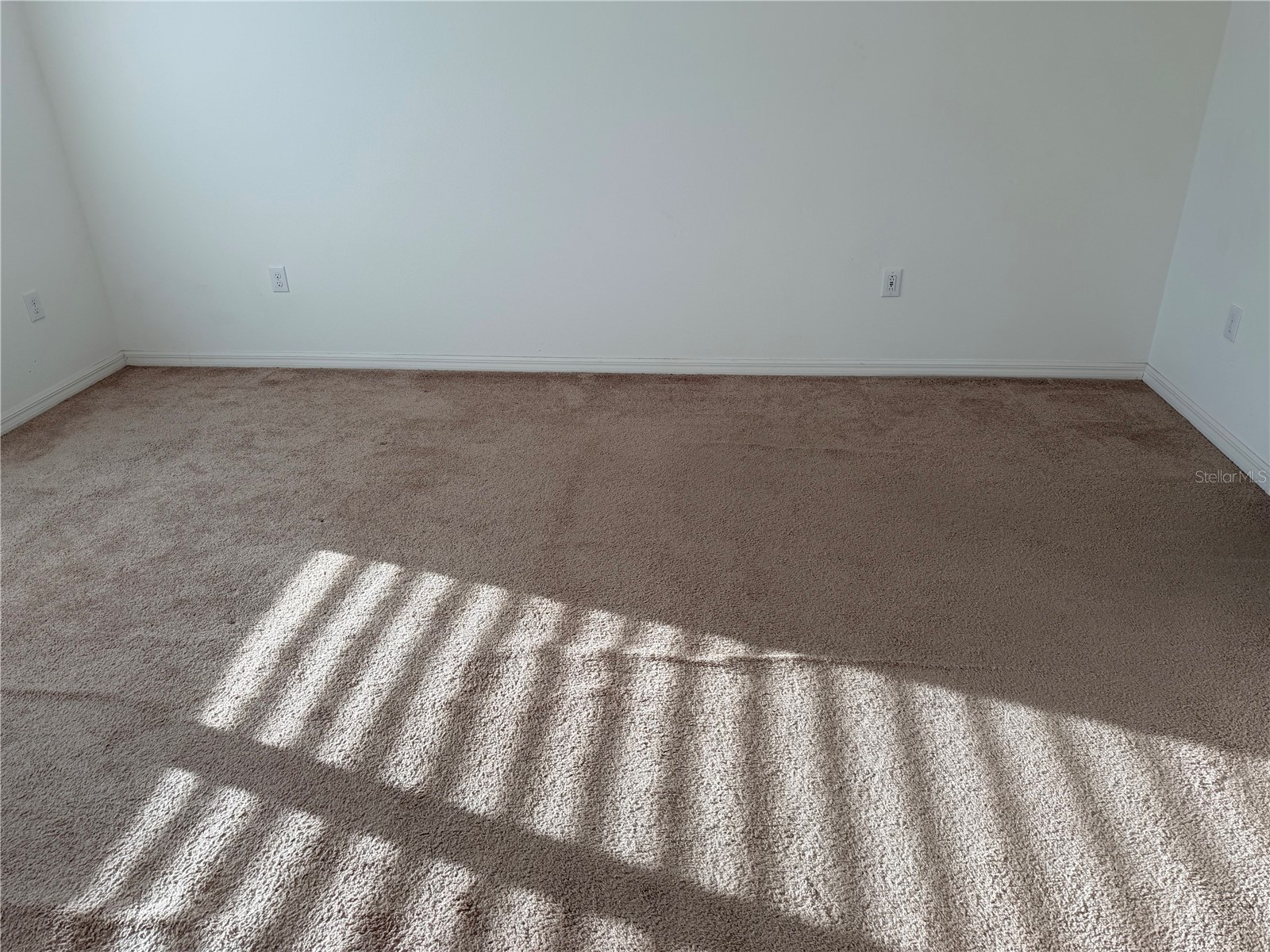 4209 Beargrass Street Clermont FL 34714 O6379986 image2