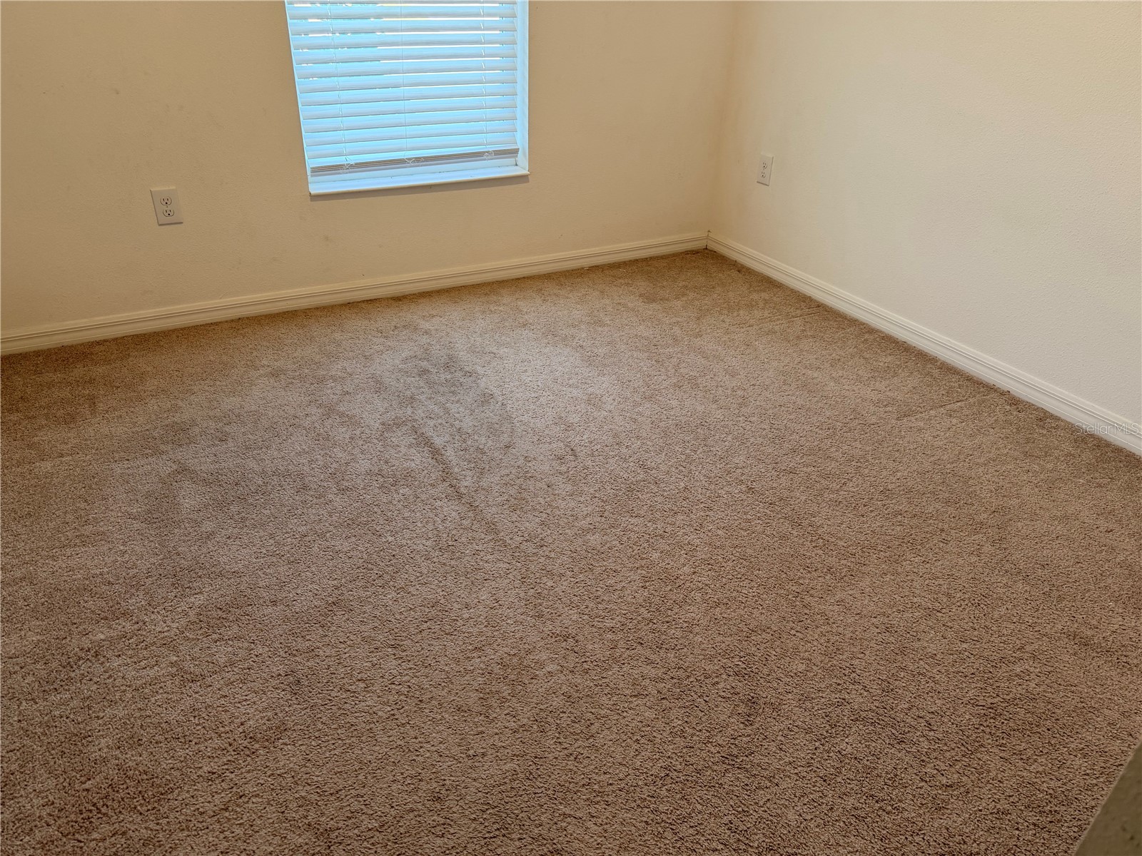 4209 Beargrass Street Clermont FL 34714 O6379986 image26