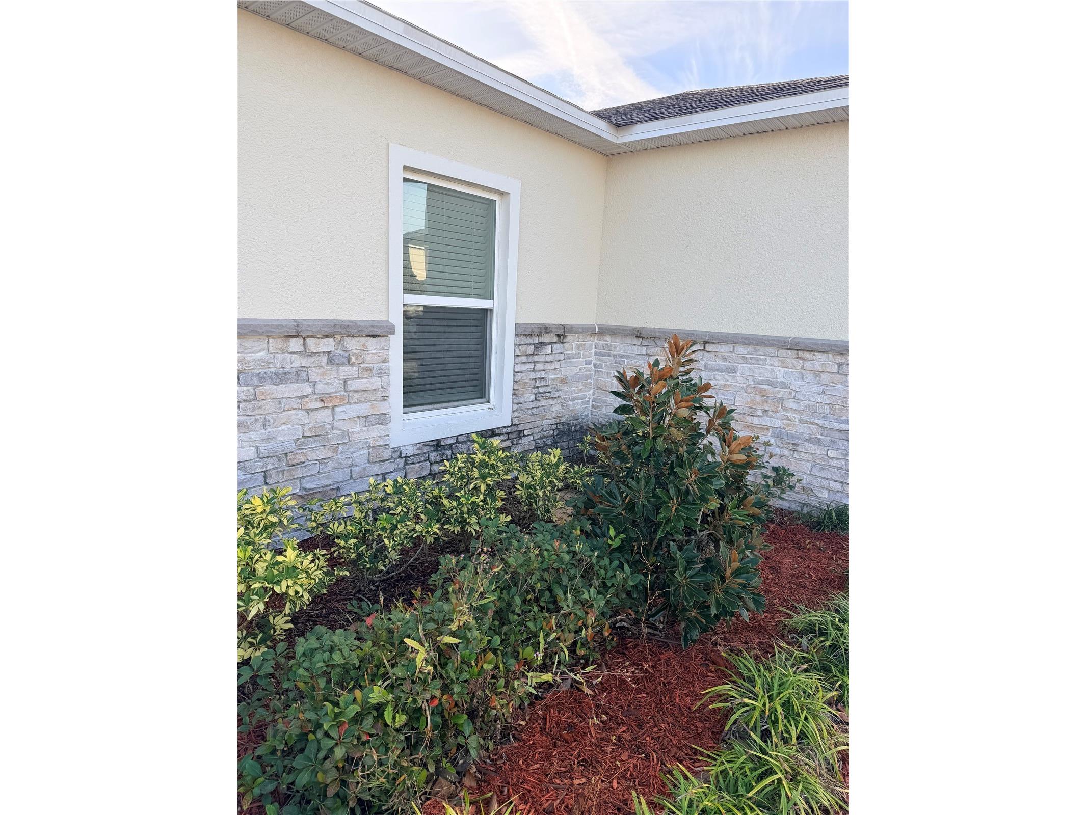 4209 Beargrass Street Clermont FL 34714 O6379986 image9