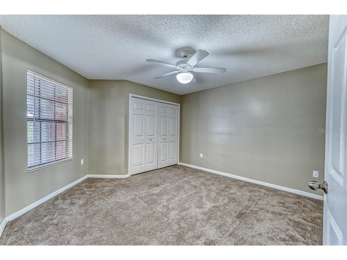 4209 Brentwood Park Circle Tampa FL 33624 TB8439390 image11