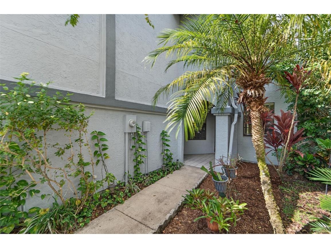 4209 Brentwood Park Circle Tampa FL 33624 TB8439390 image26