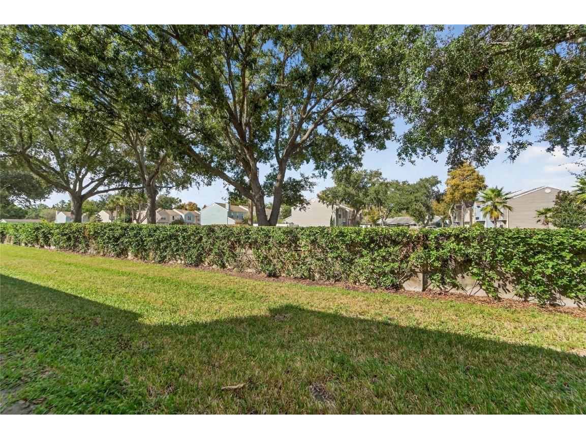 4209 Brentwood Park Circle Tampa FL 33624 TB8439390 image29