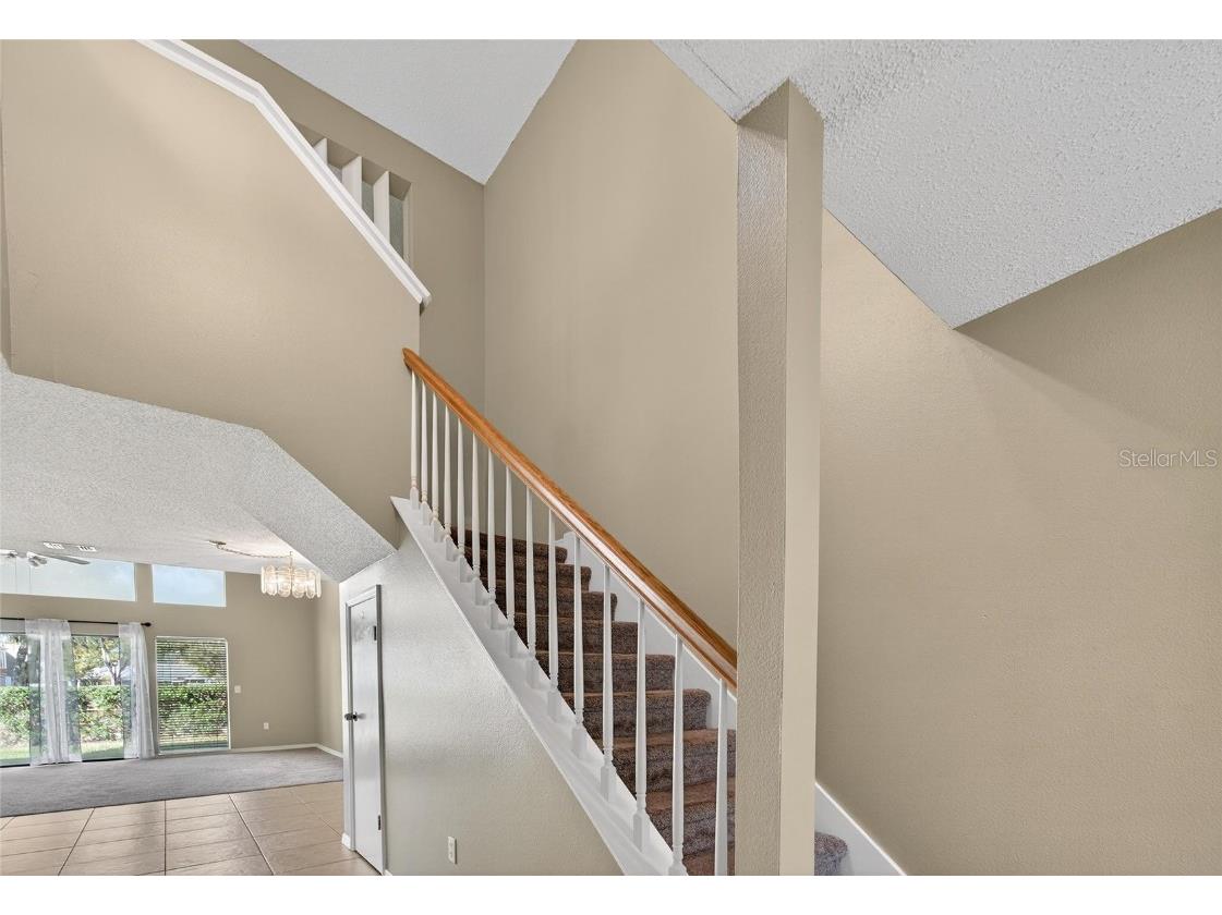 4209 Brentwood Park Circle Tampa FL 33624 TB8439390 image8