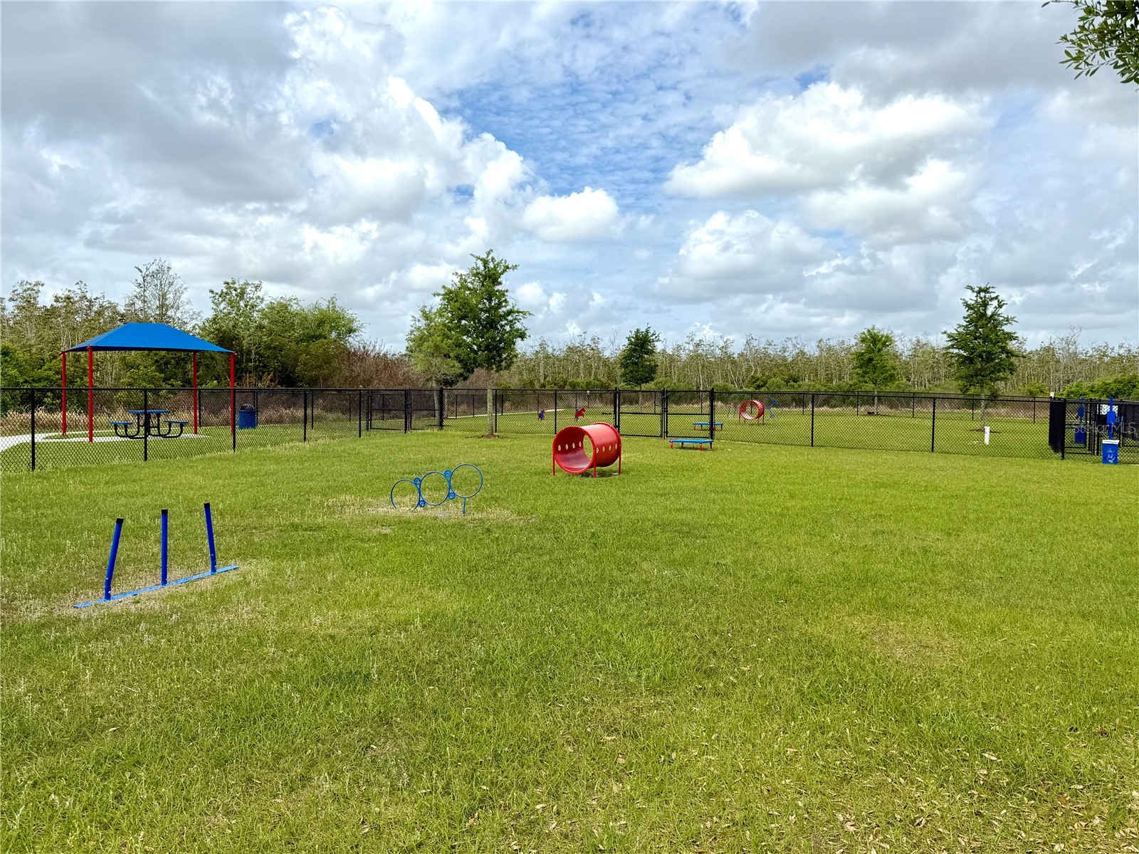 4209 Deleon Street Haines City FL 33844 O6394934 image63