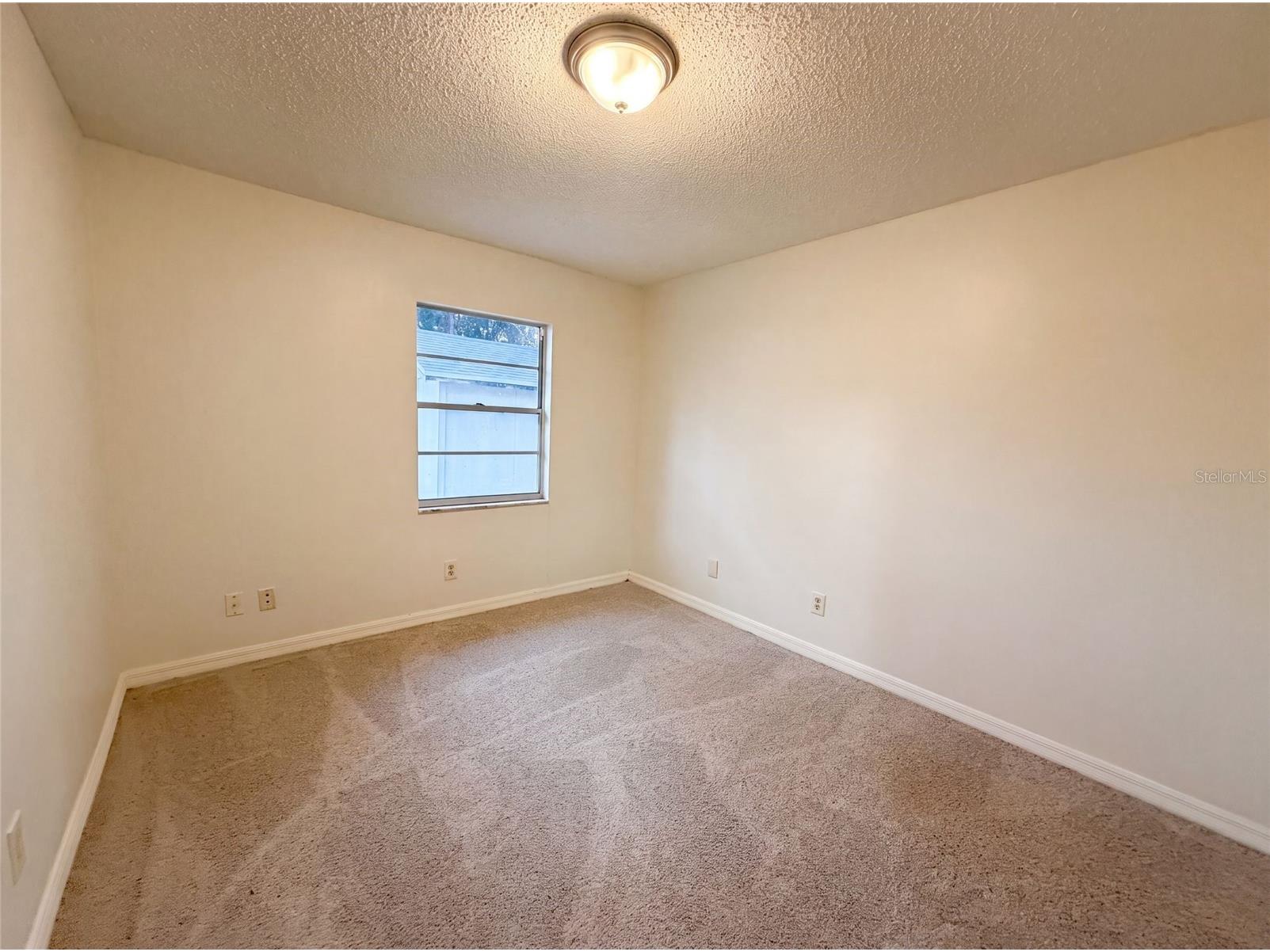 4209 E Alene Drive Tampa FL 33617 O6423657 image10