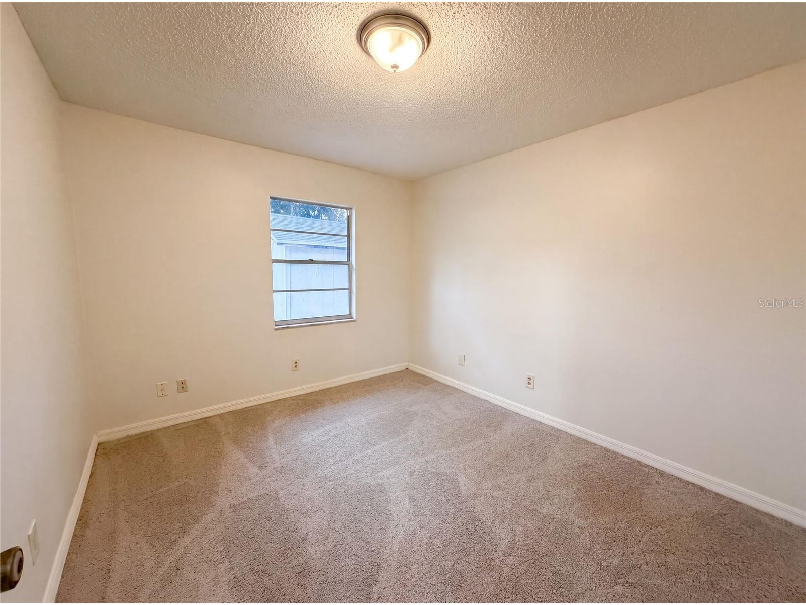 4209 E Alene Drive Tampa FL 33617 O6423657 image11