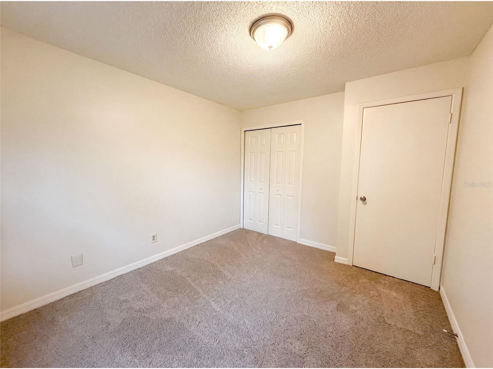 4209 E Alene Drive Tampa FL 33617 O6423657 image12