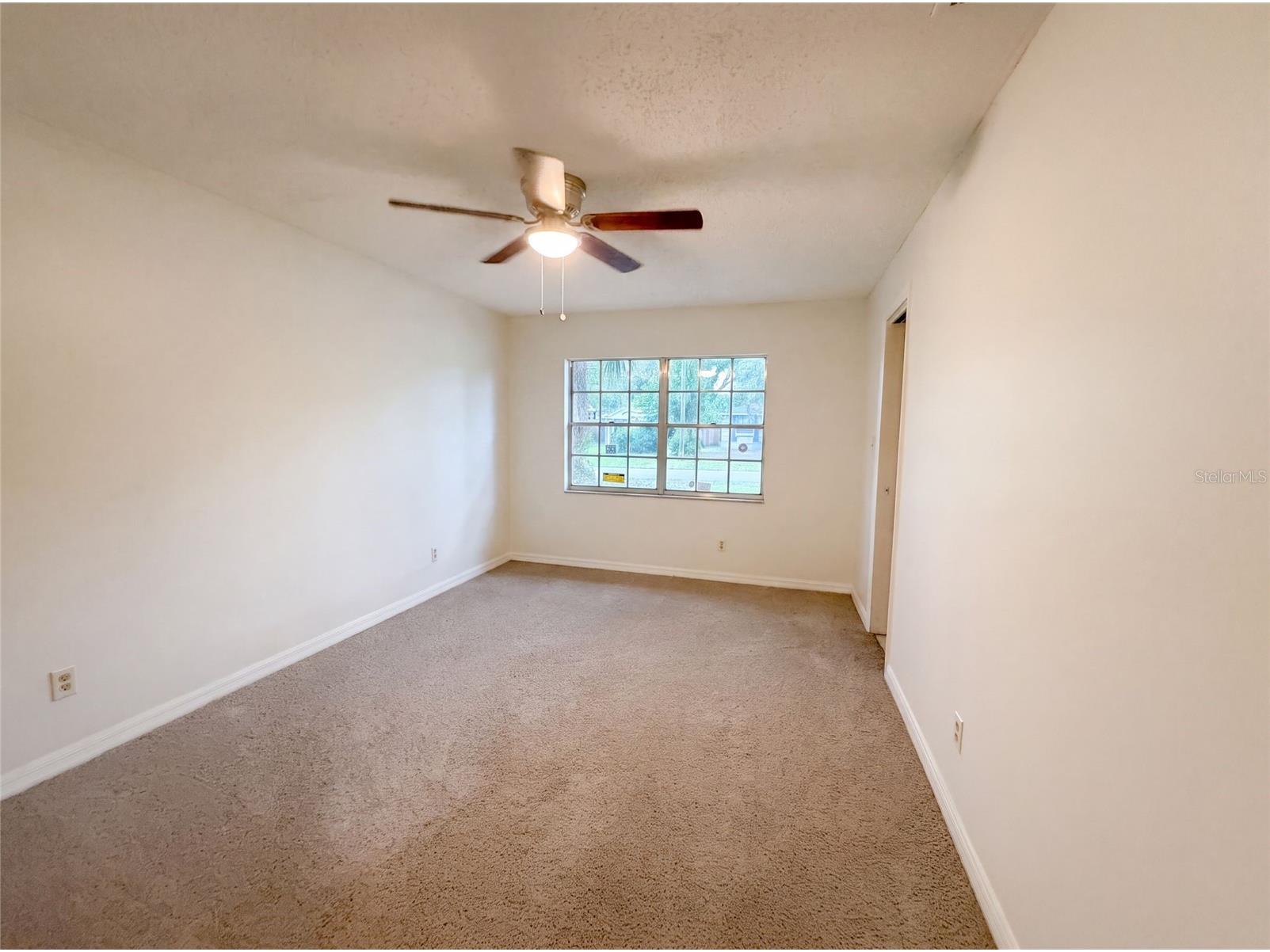 4209 E Alene Drive Tampa FL 33617 O6423657 image13
