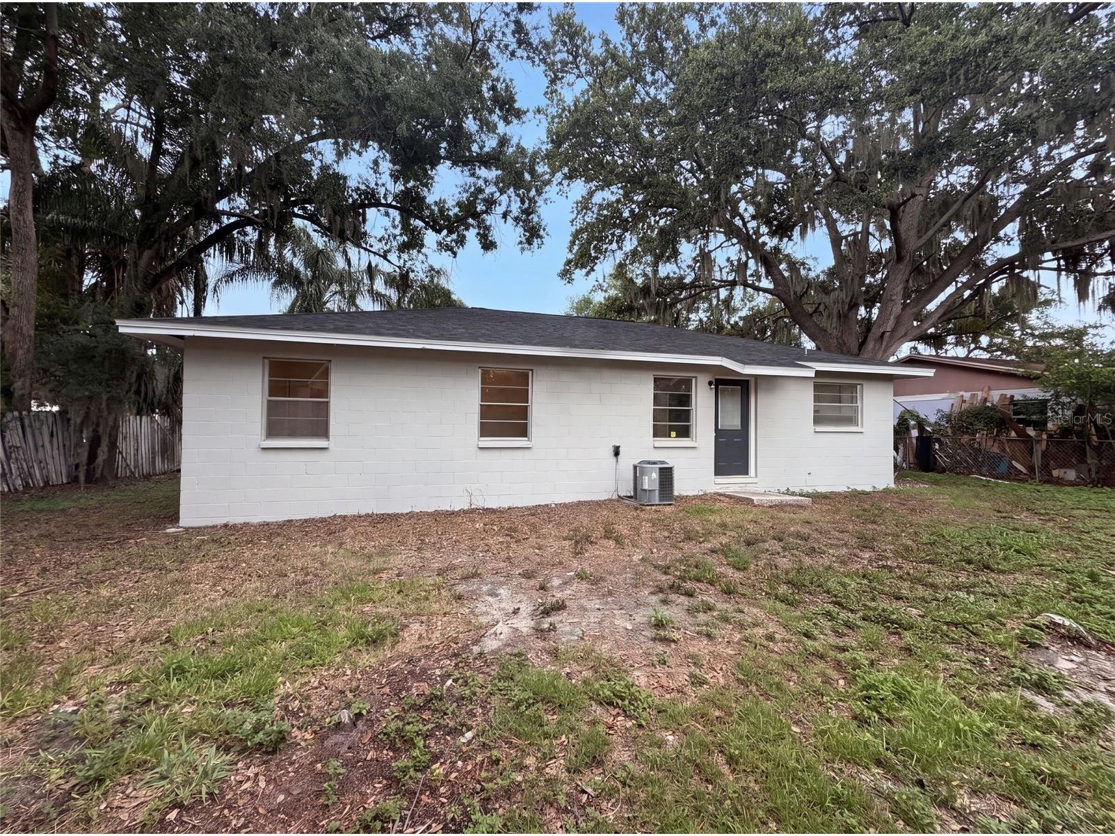 4209 E Alene Drive Tampa FL 33617 O6423657 image5