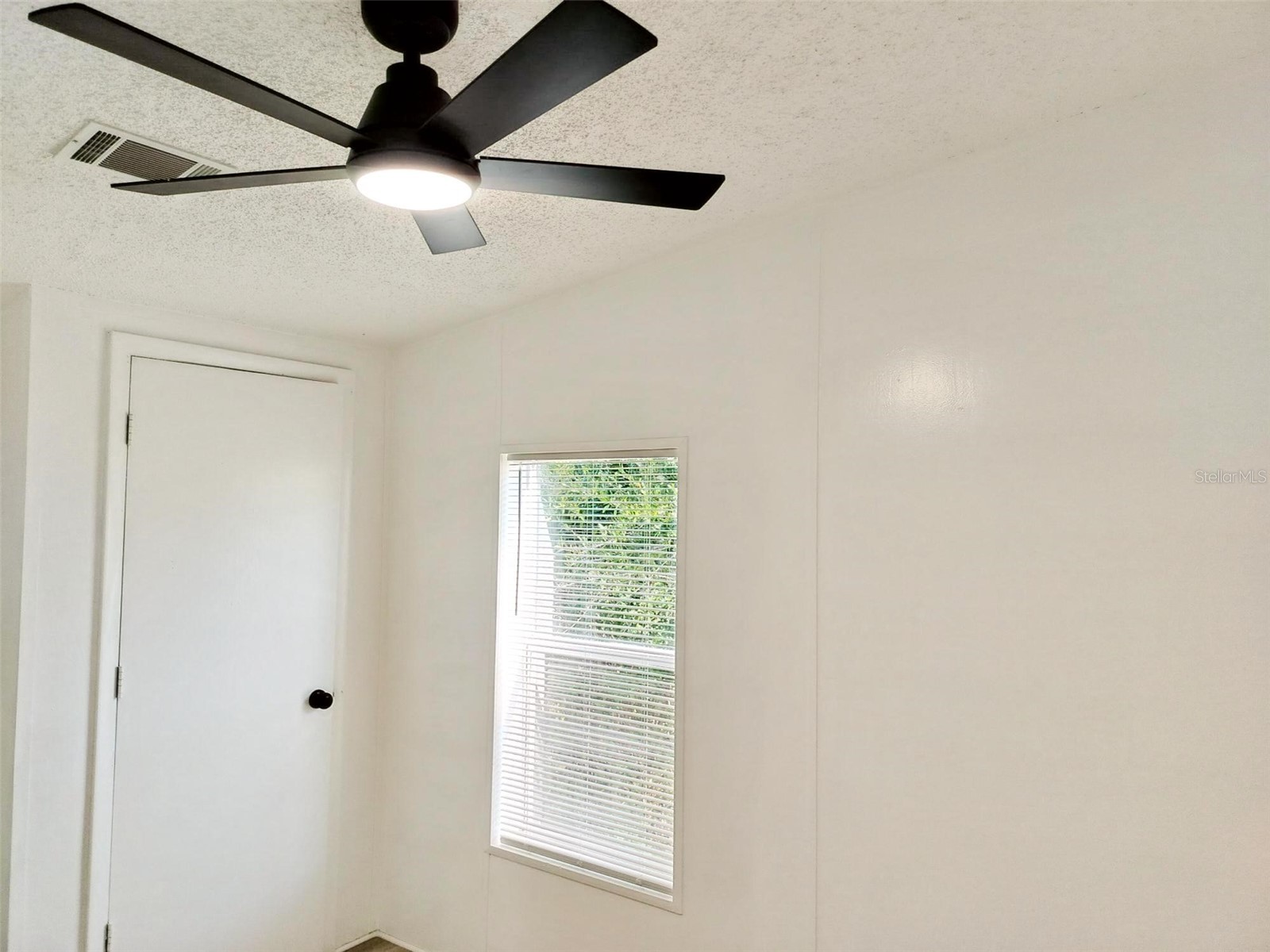 4209 Loury Drive Wesley Chapel FL 33543 TB8458947 image15
