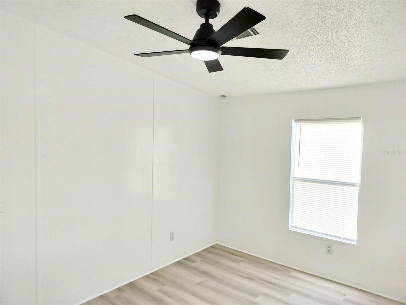4209 Loury Drive Wesley Chapel FL 33543 TB8458947 image16