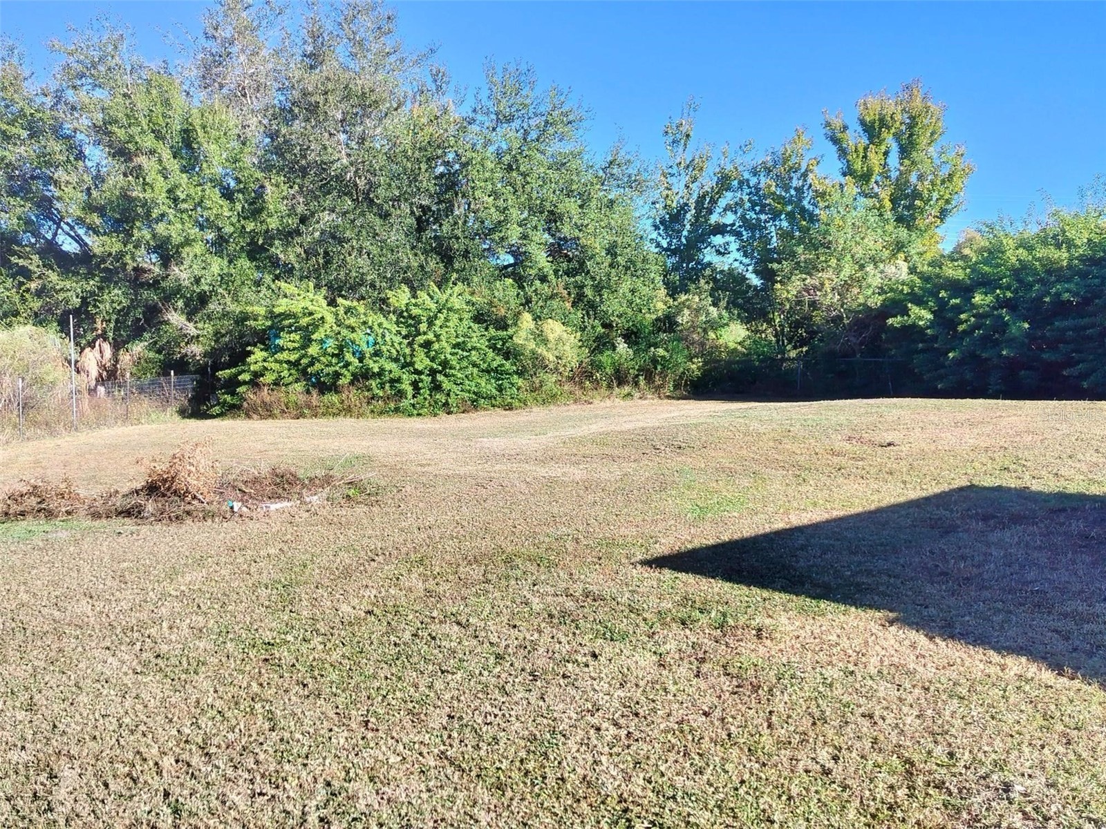 4209 Loury Drive Wesley Chapel FL 33543 TB8458947 image22