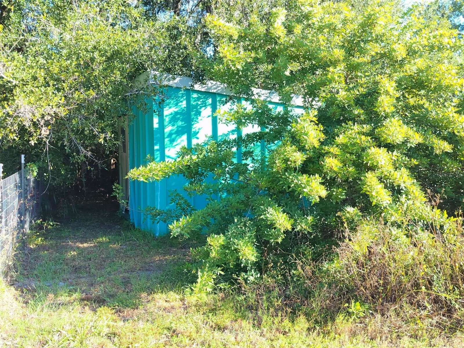4209 Loury Drive Wesley Chapel FL 33543 TB8458947 image23
