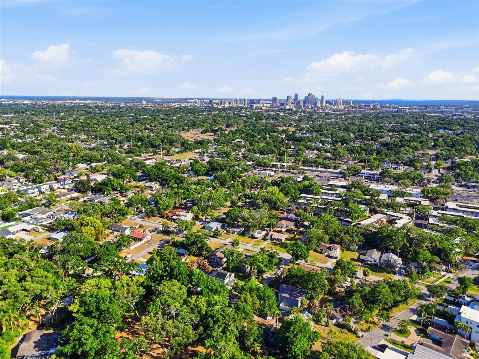 4209 N Holly Street Tampa FL 33603 TB8502505 image37