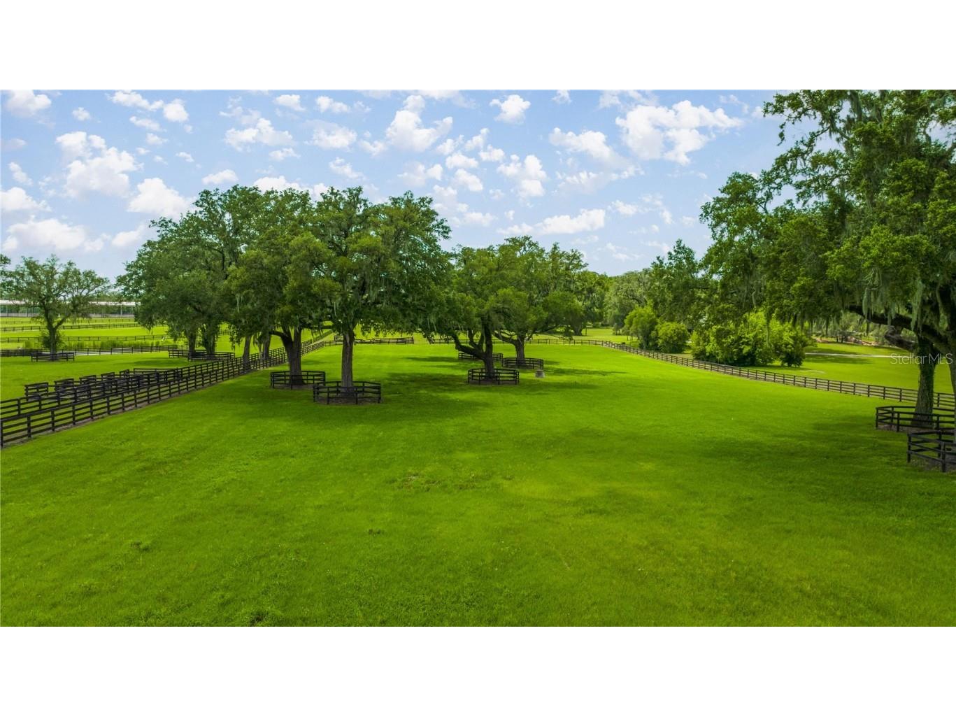 4209 NW 110th Avenue Ocala FL 34482 OM702156 image11