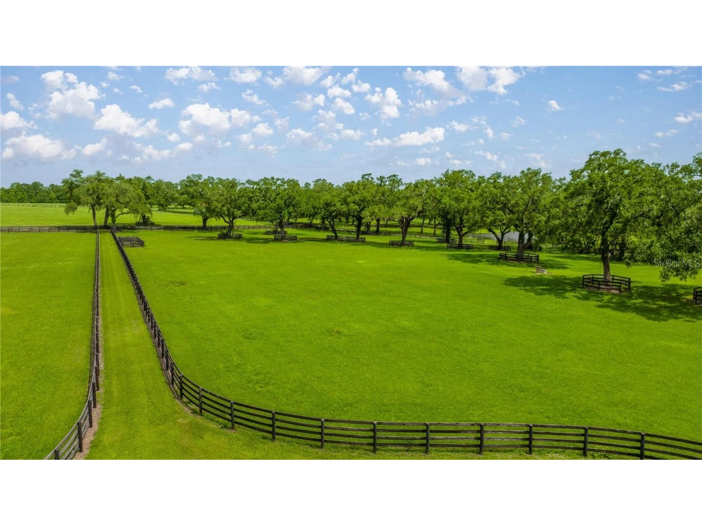 4209 NW 110th Avenue Ocala FL 34482 OM702156 image12