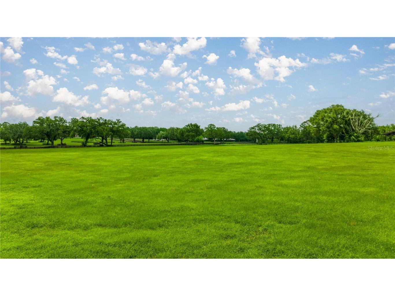 4209 NW 110th Avenue Ocala FL 34482 OM702156 image5