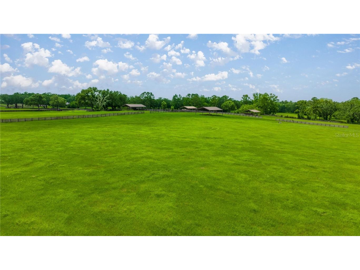 4209 NW 110th Avenue Ocala FL 34482 OM702156 image6