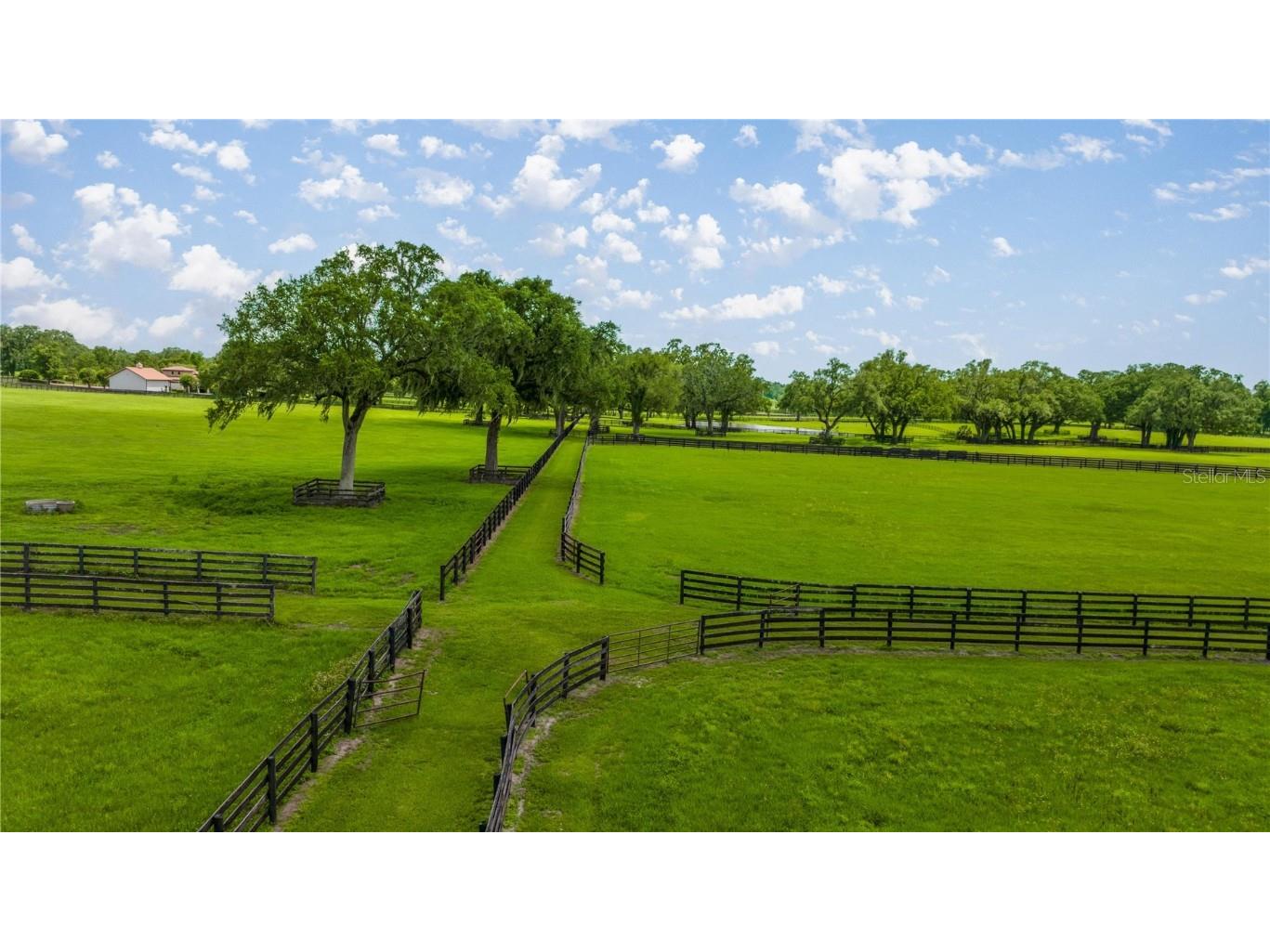 4209 NW 110th Avenue Ocala FL 34482 OM702156 image8