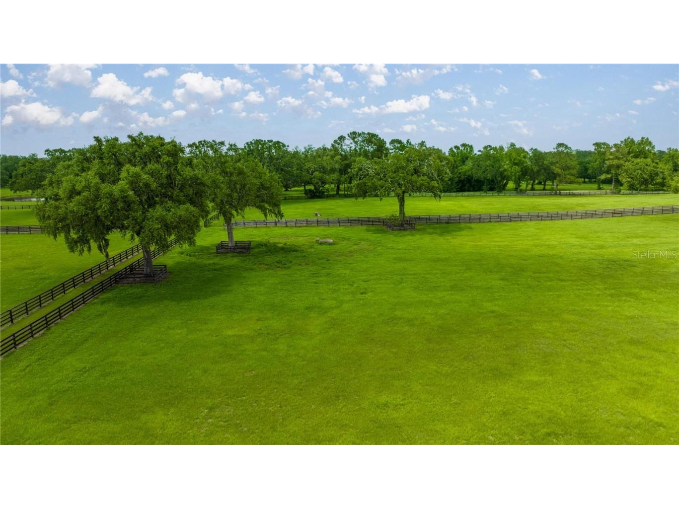 4209 NW 110th Avenue Ocala FL 34482 OM702156 image9