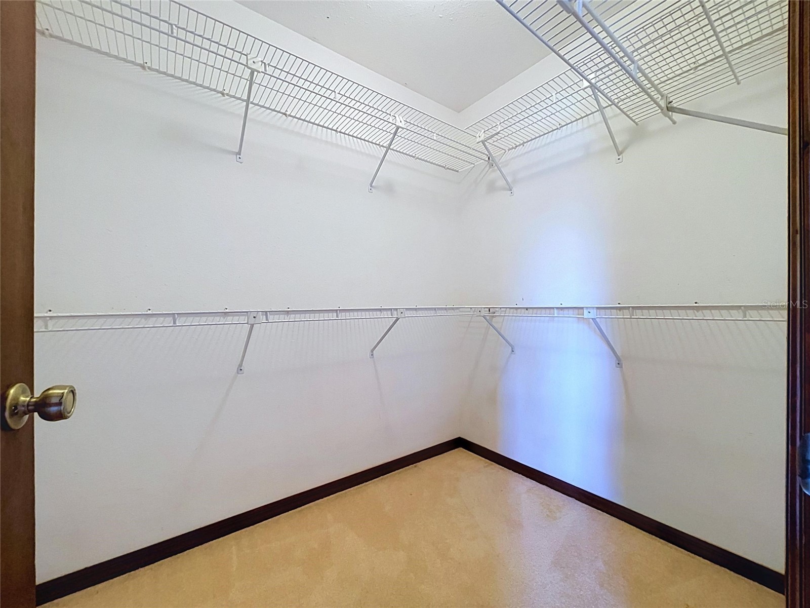 4209 Staffordshire Drive Lakeland FL 33809 L4963302 image98
