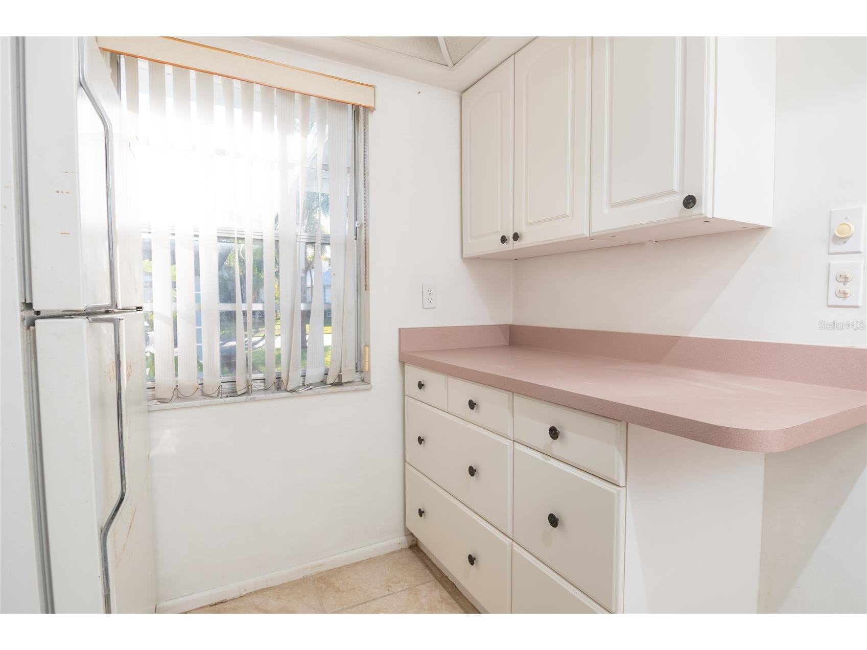 4209 Tamargo Drive #4209 New Port Richey FL 34652 TB8488419 image14