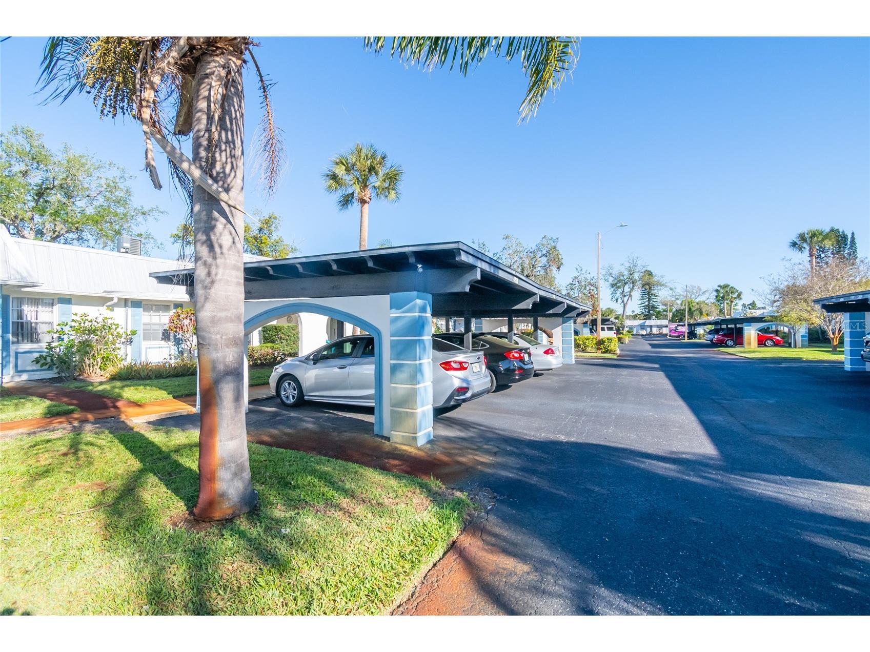 4209 Tamargo Drive #4209 New Port Richey FL 34652 TB8488419 image3