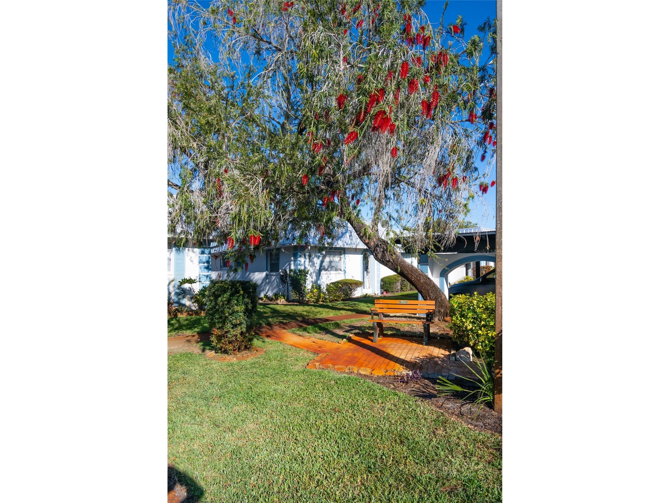 4209 Tamargo Drive #4209 New Port Richey FL 34652 TB8488419 image36
