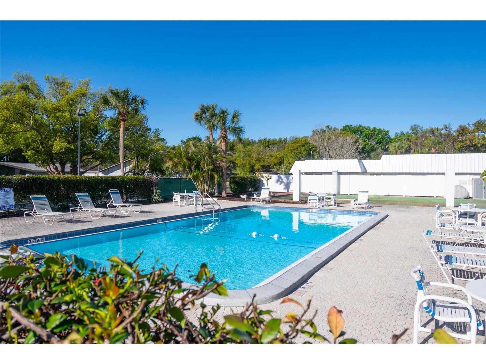 4209 Tamargo Drive #4209 New Port Richey FL 34652 TB8488419 image41