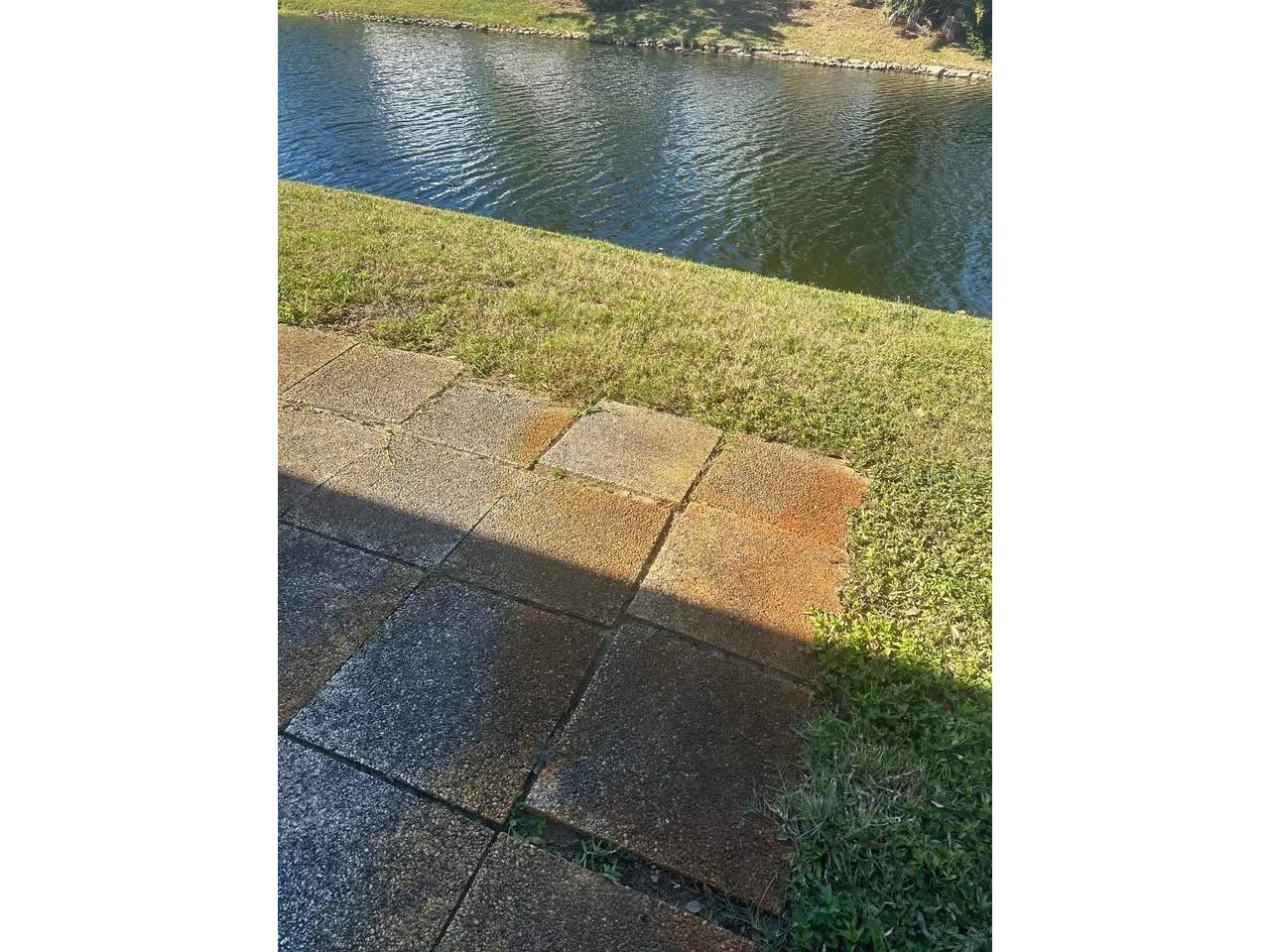 4209 Touchton Place New Port Richey FL 34652 TB8508043 image9