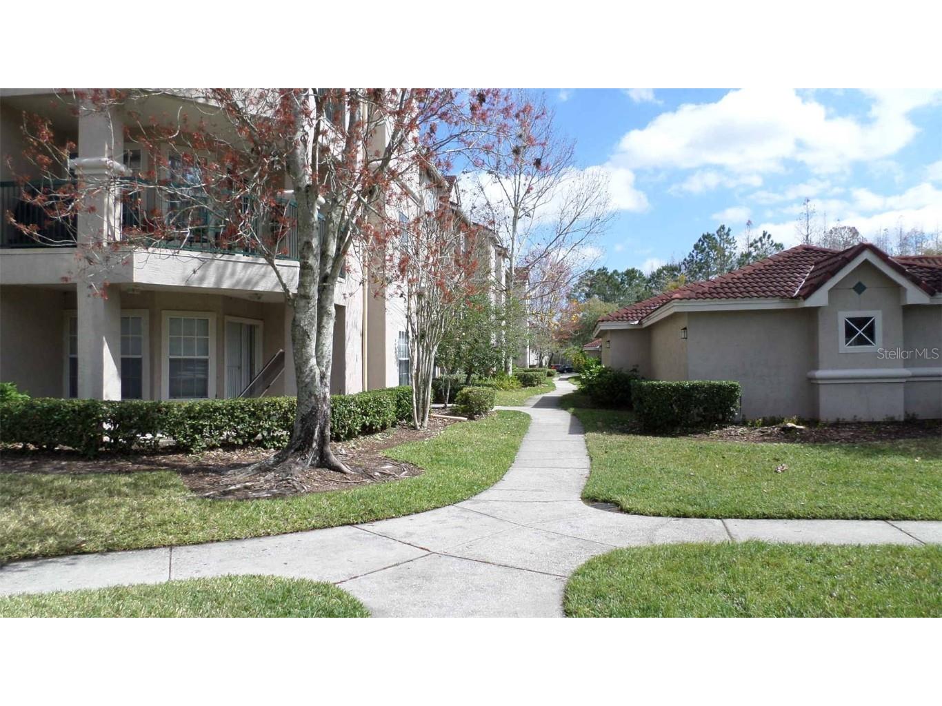 4209 Woodstorks Walk Way #1102 Lutz FL 33558 T3524959 image1