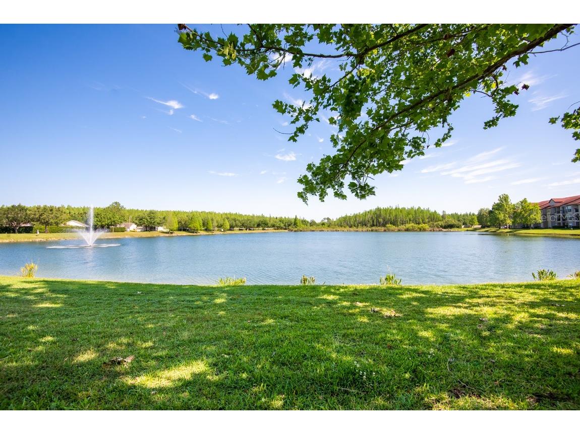 4209 Woodstorks Walk Way #1110 Lutz FL 33558 TB8526279 image23