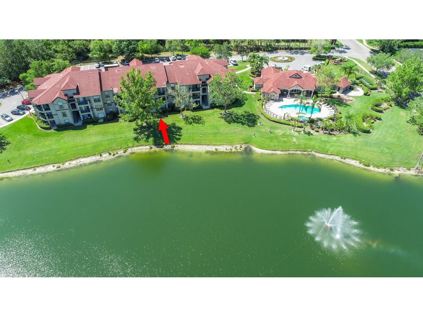 4209 Woodstorks Walk Way #1110 Lutz FL 33558 TB8526279 image24