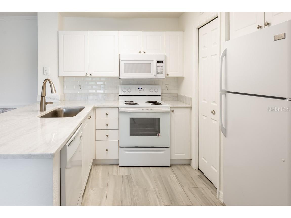 4209 Woodstorks Walk Way #1110 Lutz FL 33558 TB8526279 image5