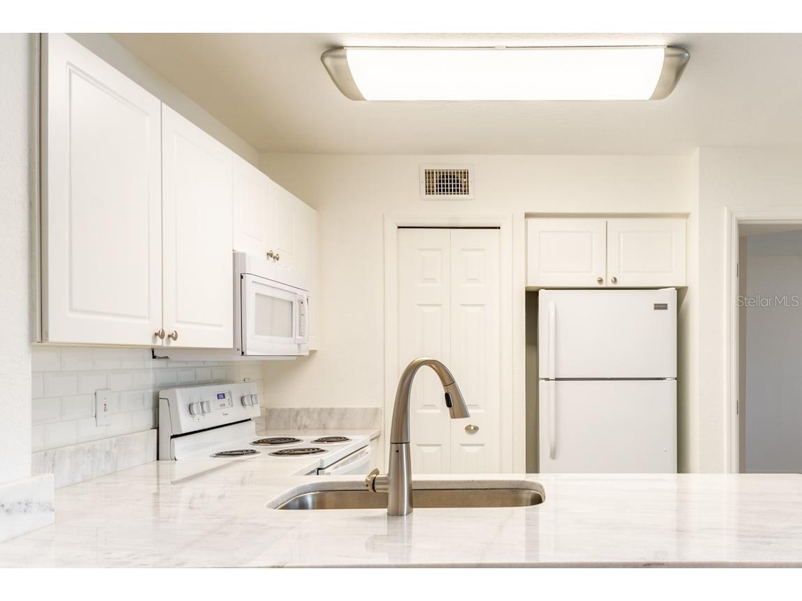 4209 Woodstorks Walk Way #1110 Lutz FL 33558 TB8526279 image6