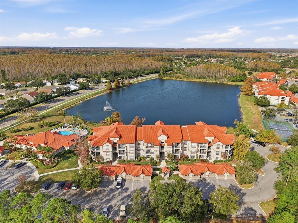 4209 Woodstorks Walk Way #1204 Lutz FL 33558 TB8457133 image1