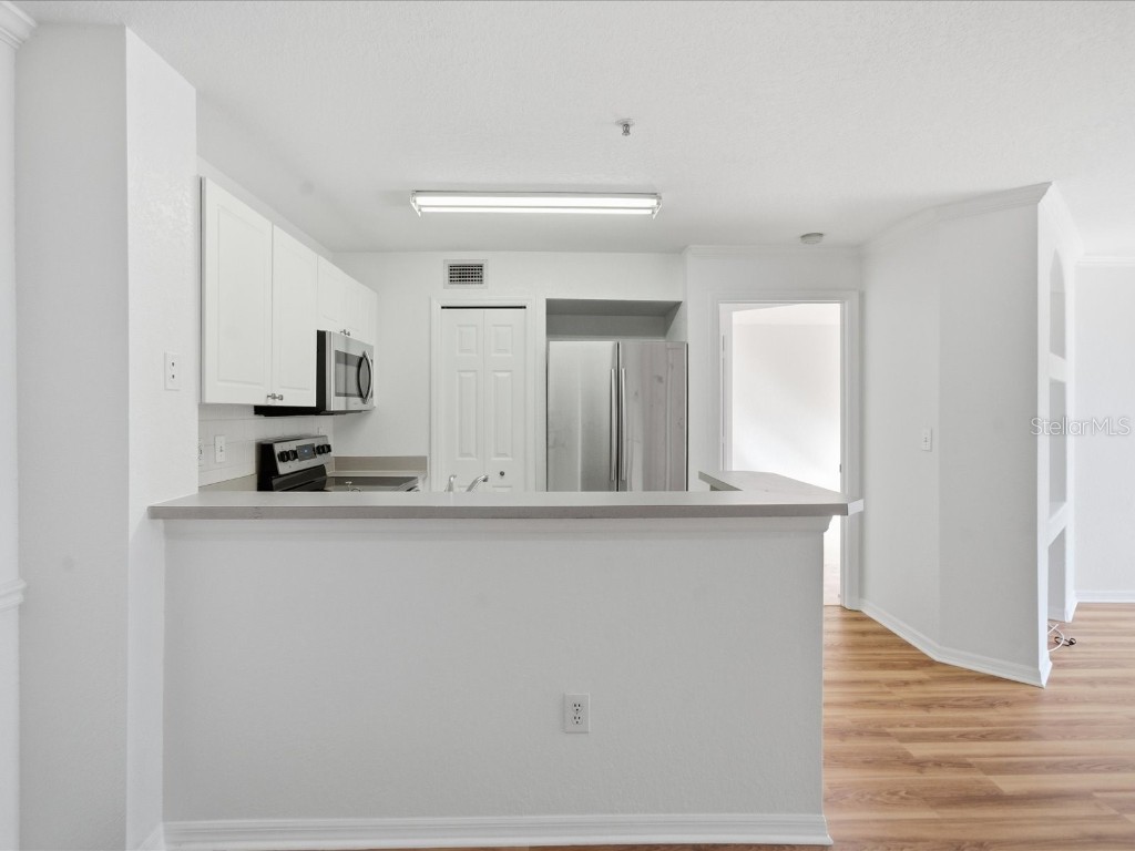 4209 Woodstorks Walk Way #1204 Lutz FL 33558 TB8457133 image14